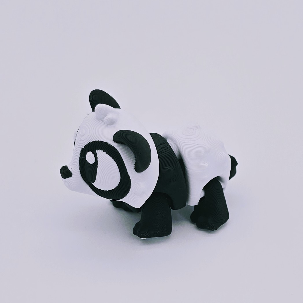 Panda Ansicht 5